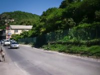 Why did the chicken cross the road? No idea, &#39;cause this is a rooster.